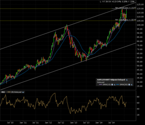 aapl_w